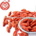 Ningxia goji bayas frutos secos Ningxia gouqi Bayas goji orgainc precio